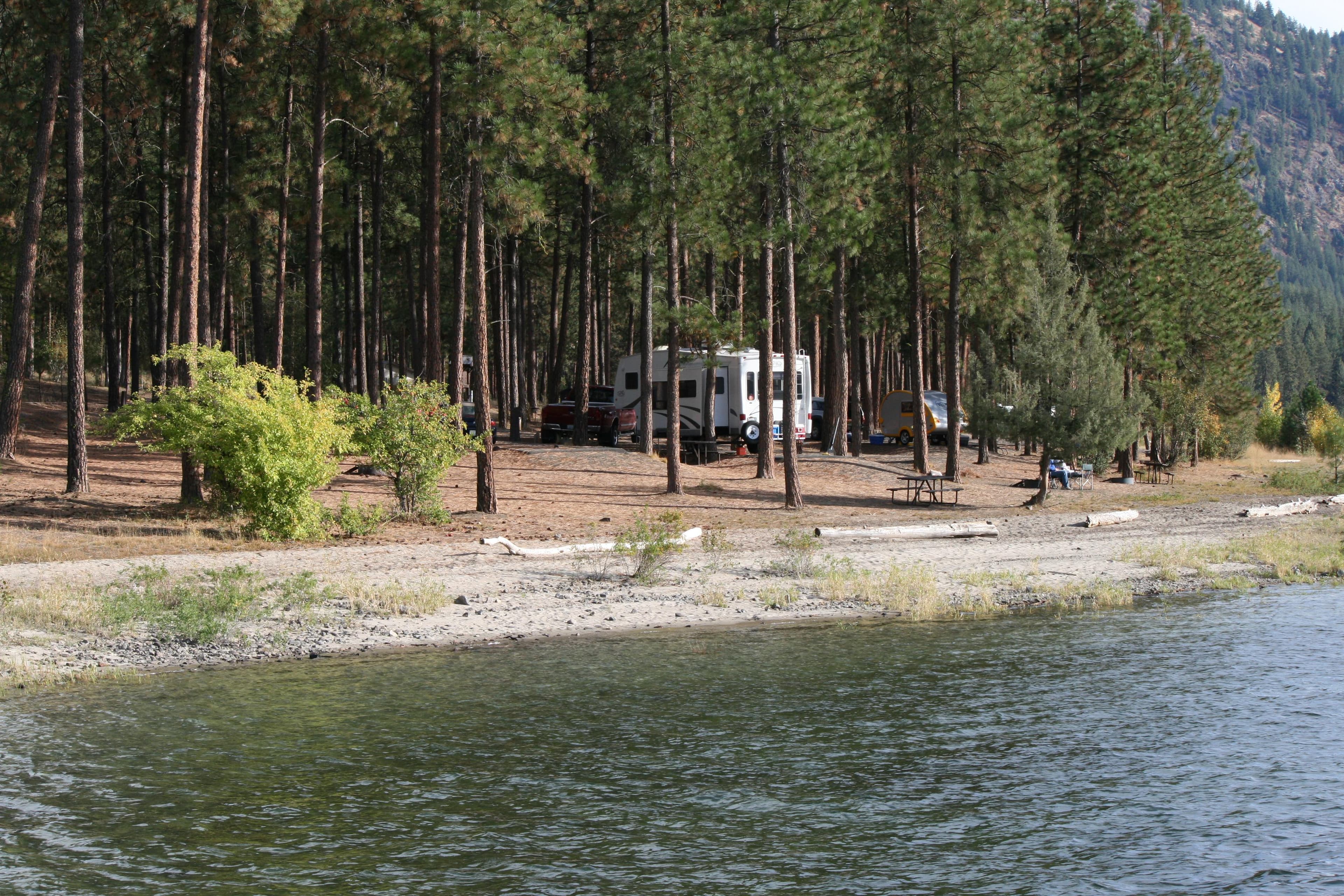 Campsites in the pines at Hunters Campground with lake access.