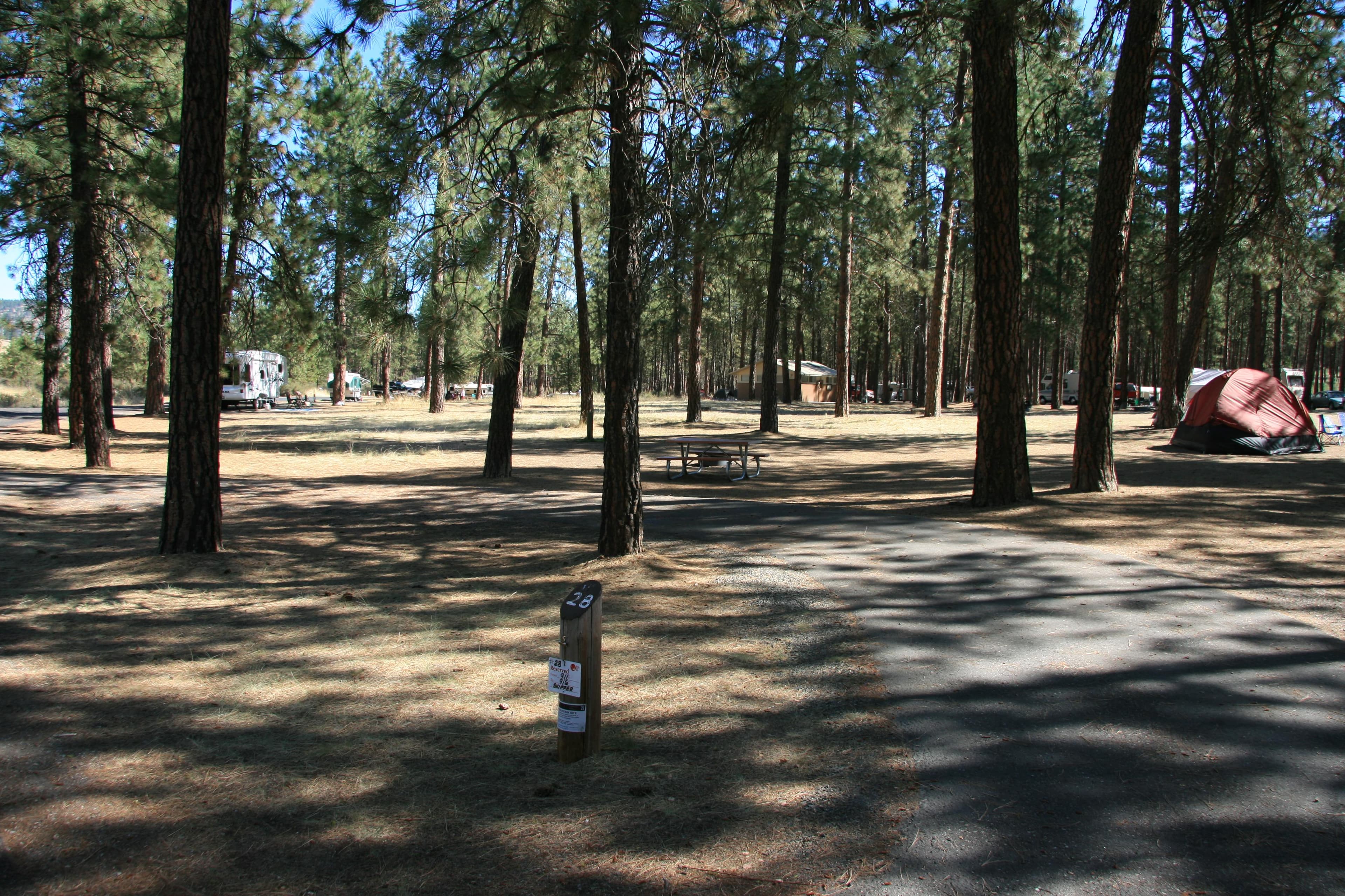 Campsites at the Fort Spokane Campground.