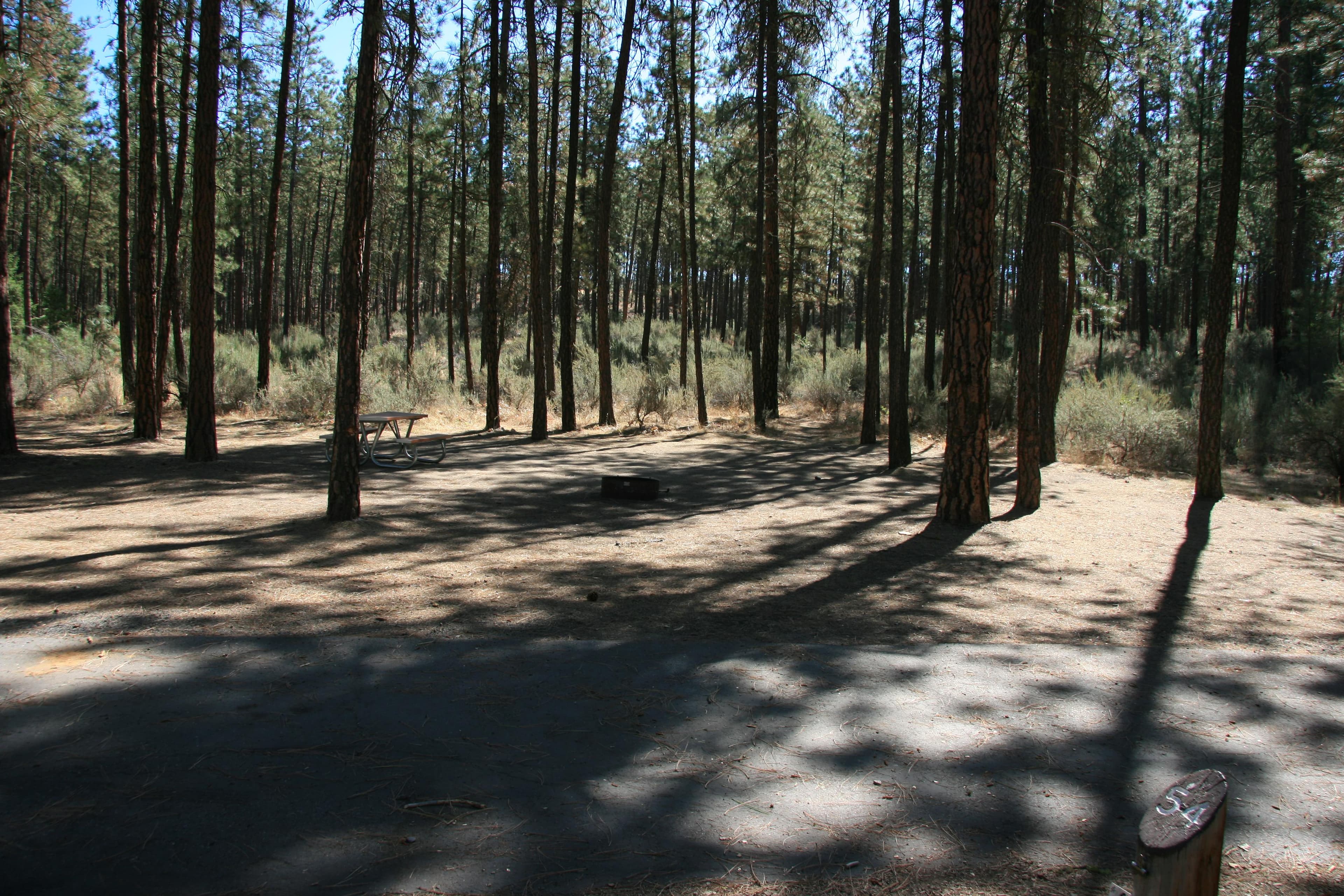An individual campsite at Fort Spokane Campground.
