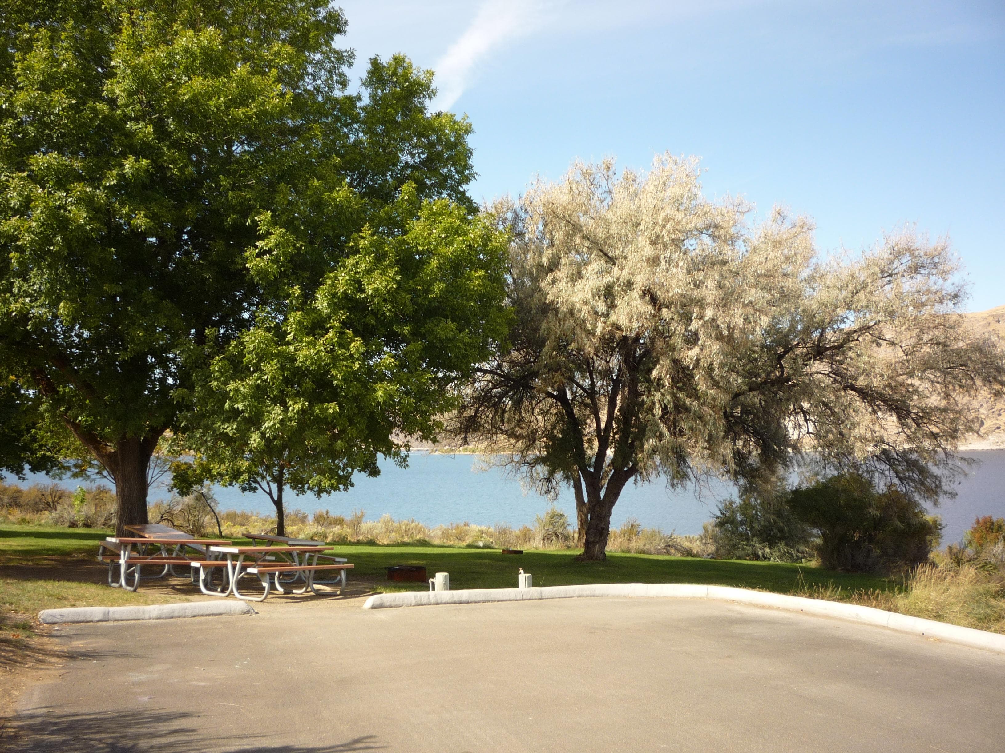 A view of a group site at Spring Canyon Campground.