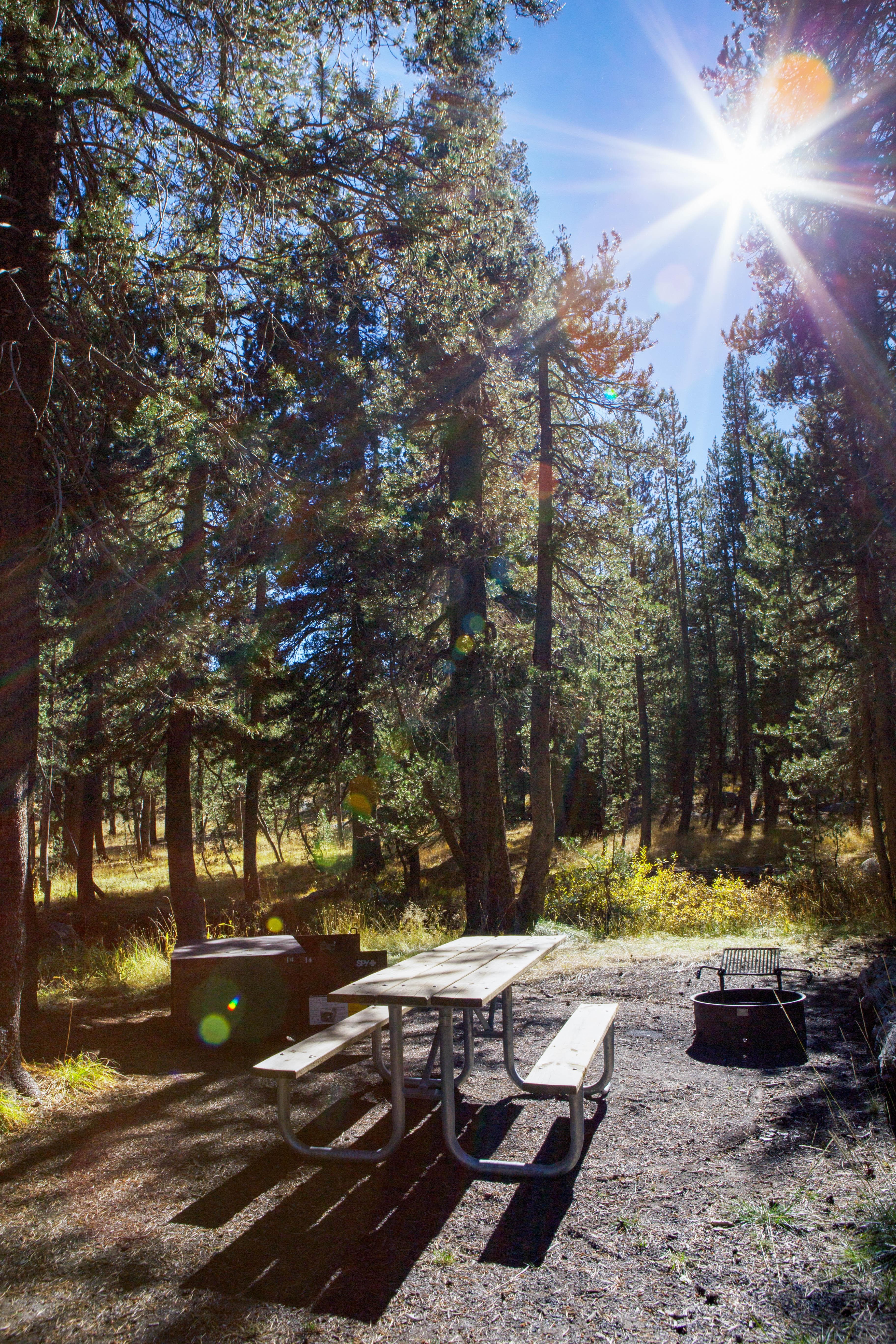 Porcupine Flat Campground
