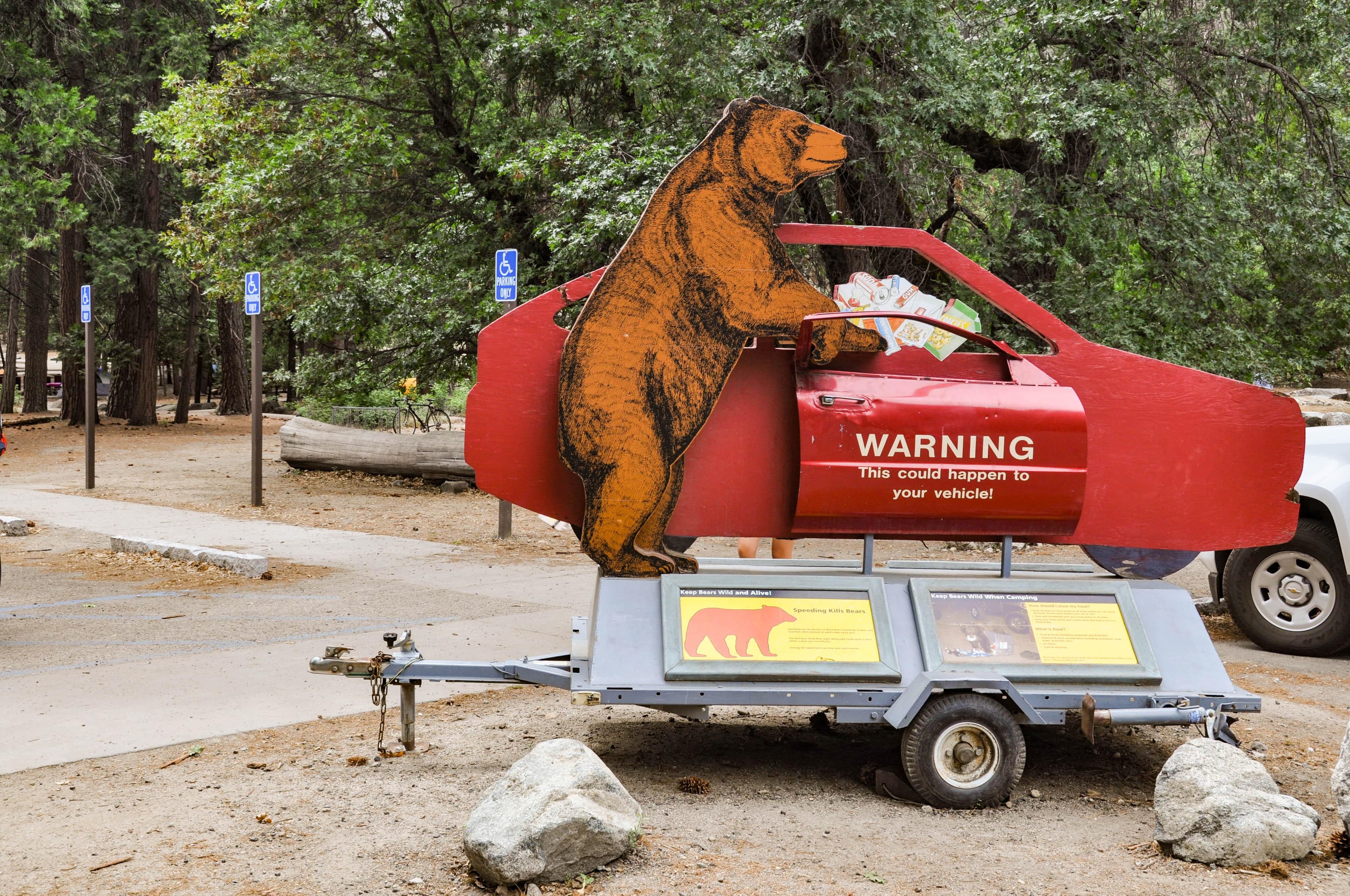 A 'Keep Bears Wild' message on the outskirts of Camp 4