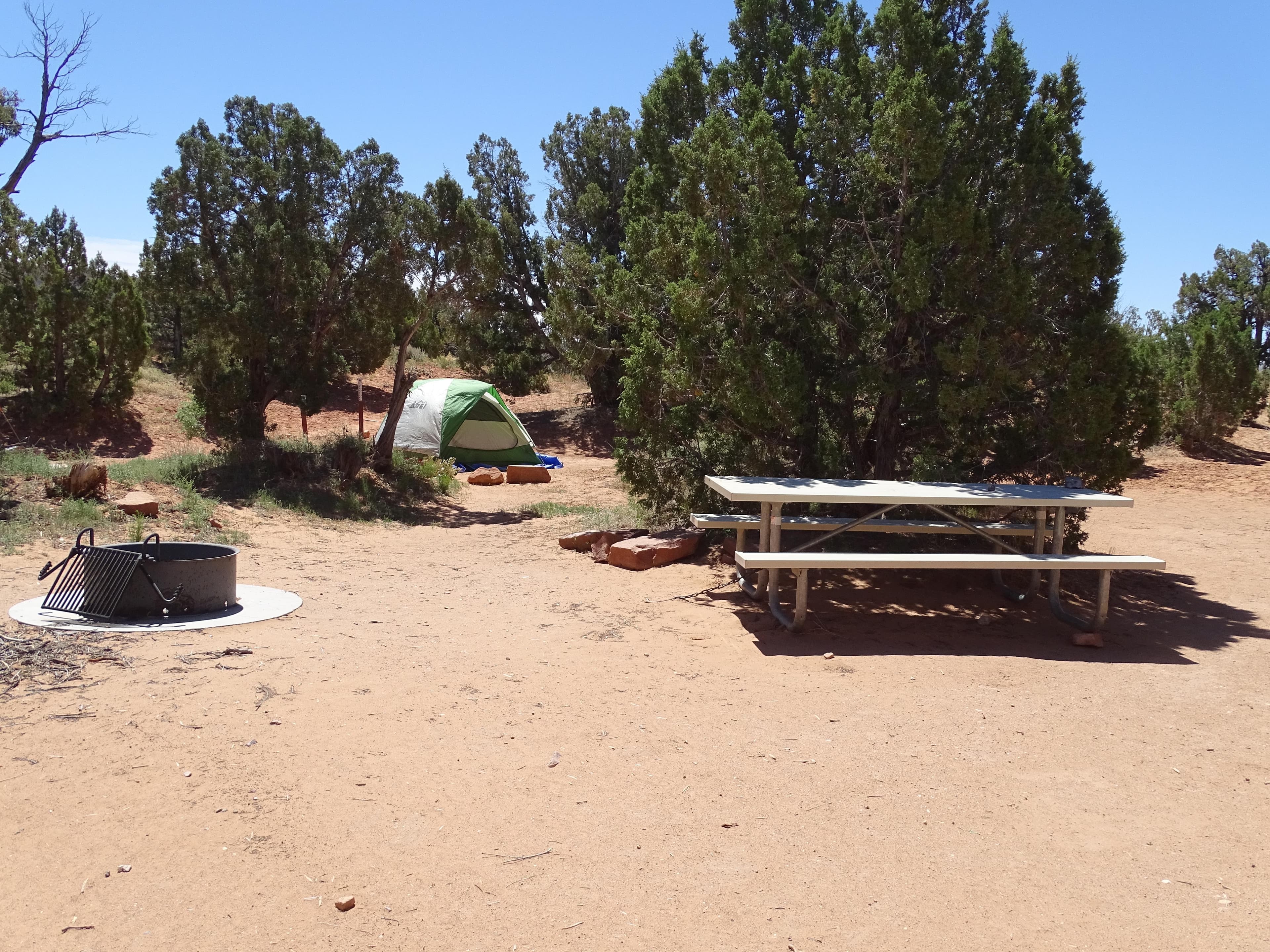 Primitive campsites at Cedar Mesa Campground