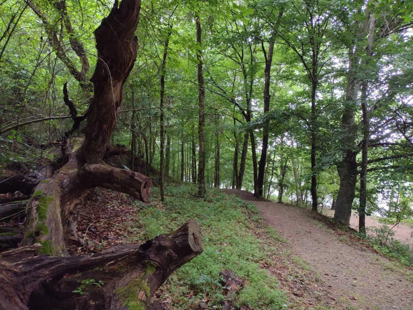 Hiking sections of the Overmountain Victory Trail is a favorite pastime.