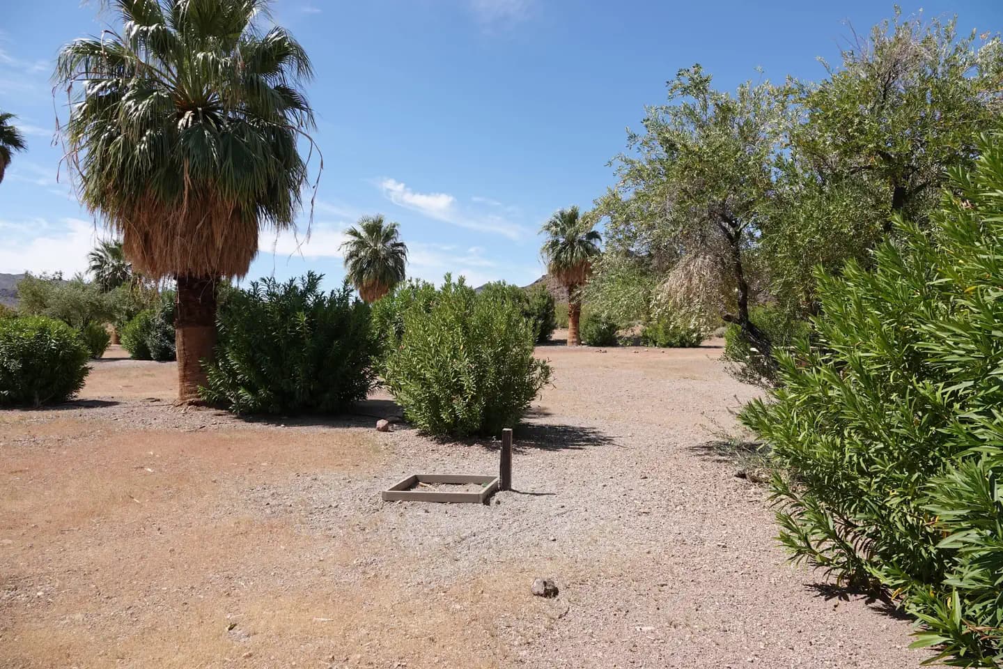Open Campsite 5 located in a desert setting