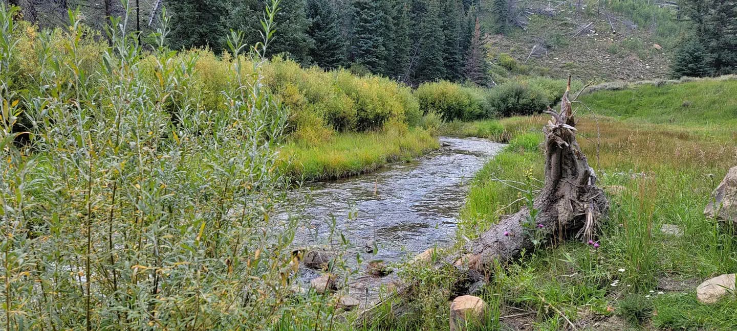 Huntington Creek 1