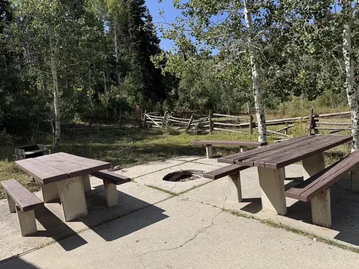 Picnic Area 2