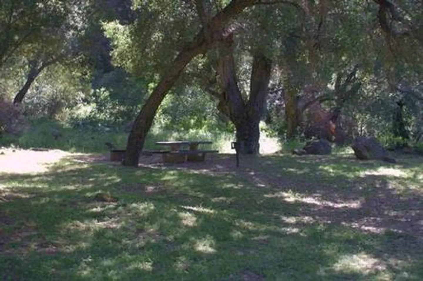 FREMONT CAMPGROUND