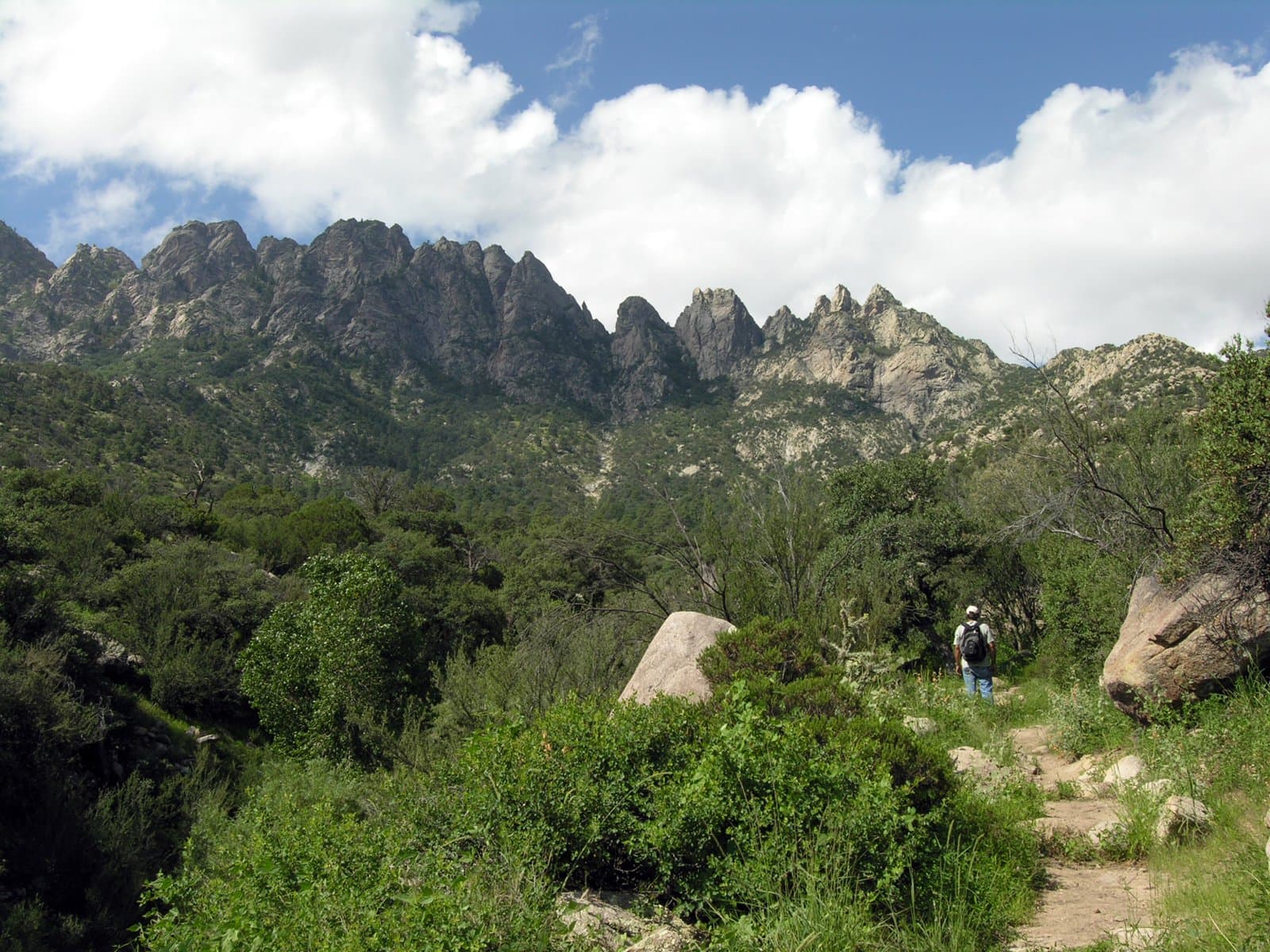 -mypubliclandsroadtrip 2016- Our Camping Picks, Aguirre Spring Campground (27642075250)