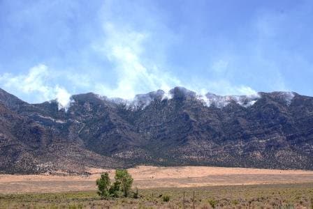 View of the Egan Fire from SR318 (7496832578)