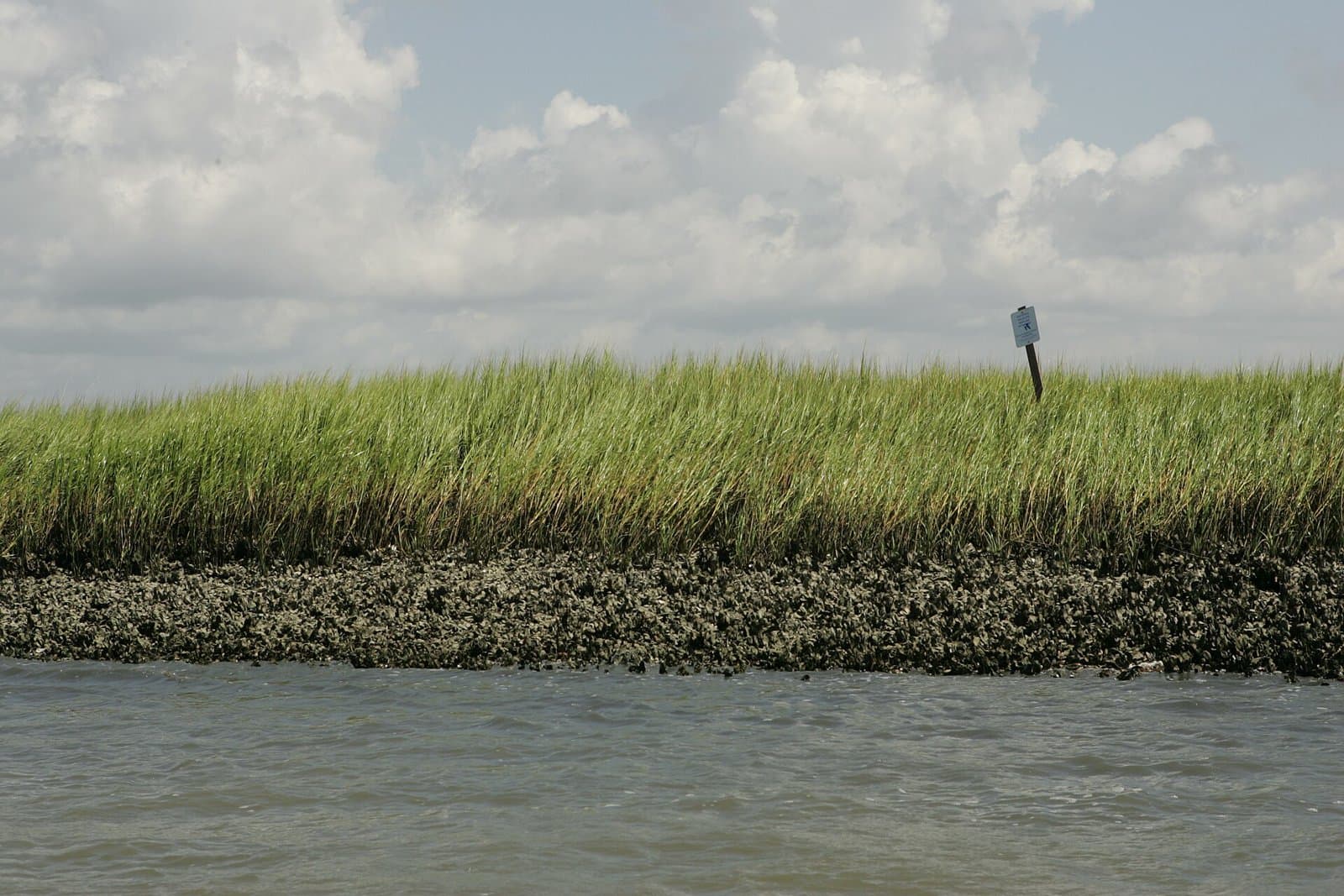 Wilderness marsh - DPLA - 5ed2eb3f23c4a9085a302b8a32b9c480