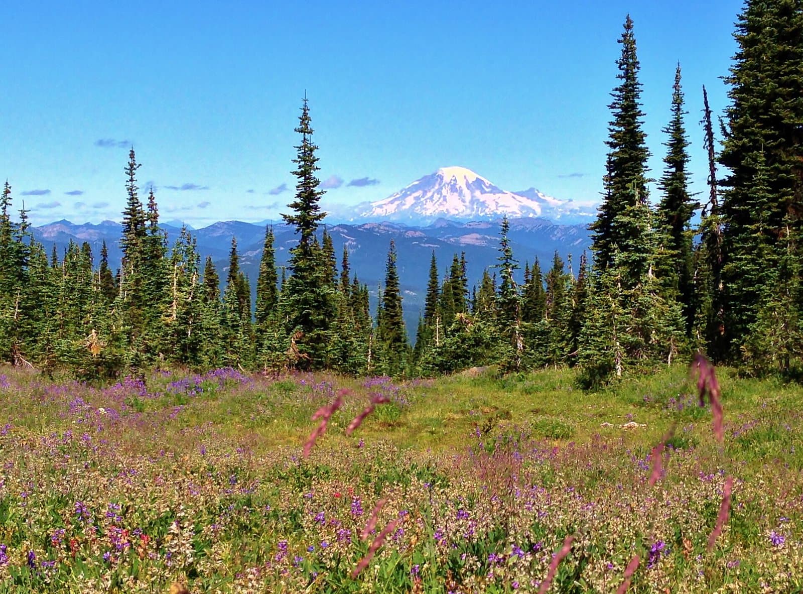 Mount Rainier from the Mount Adams Wilderness