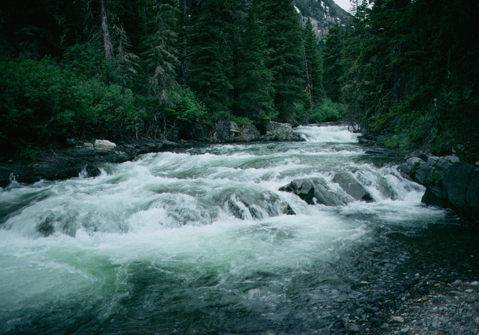 Big Timber Creek (GeoDIL number - 2139)