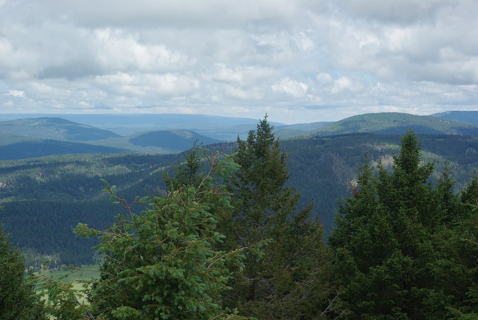 Cerro Grande summit before fire