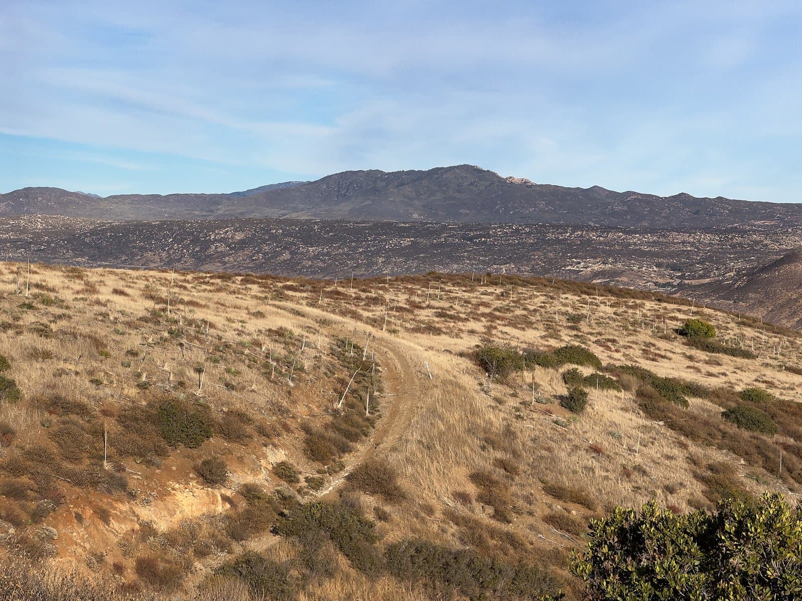 Cahuilla Mountain as seen from Oak Mountain 2